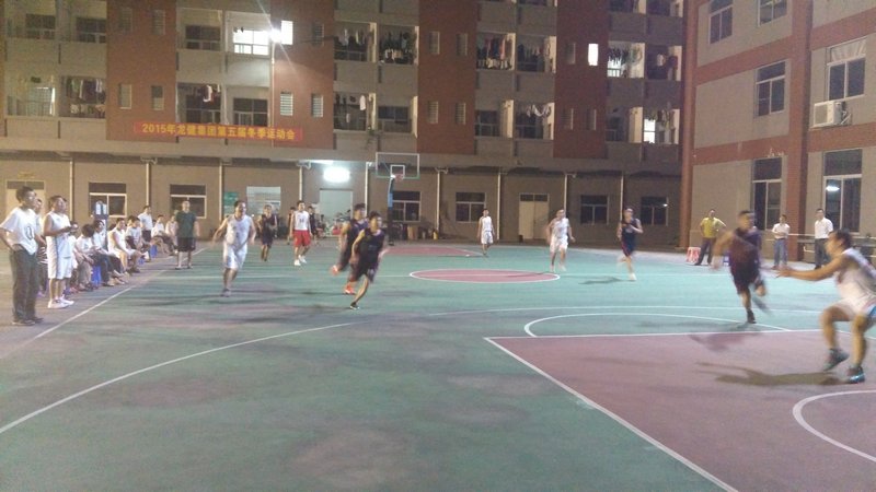 第五届冬季运动会